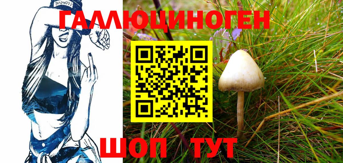 Галлюциногенные грибы Cubensis  Вход с VPN  Тейково 